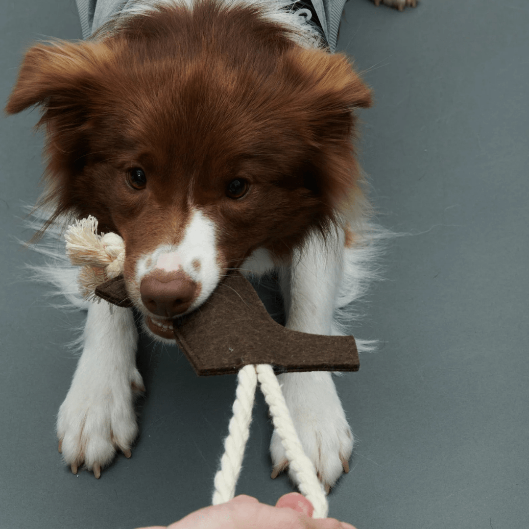 LOGO ROPE TOY