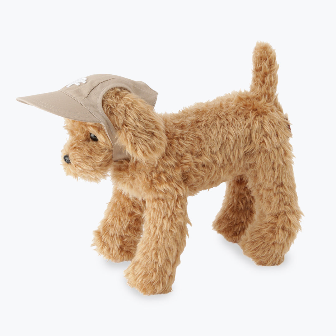 PET CAP M