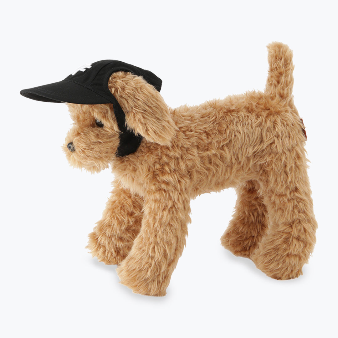 PET CAP M