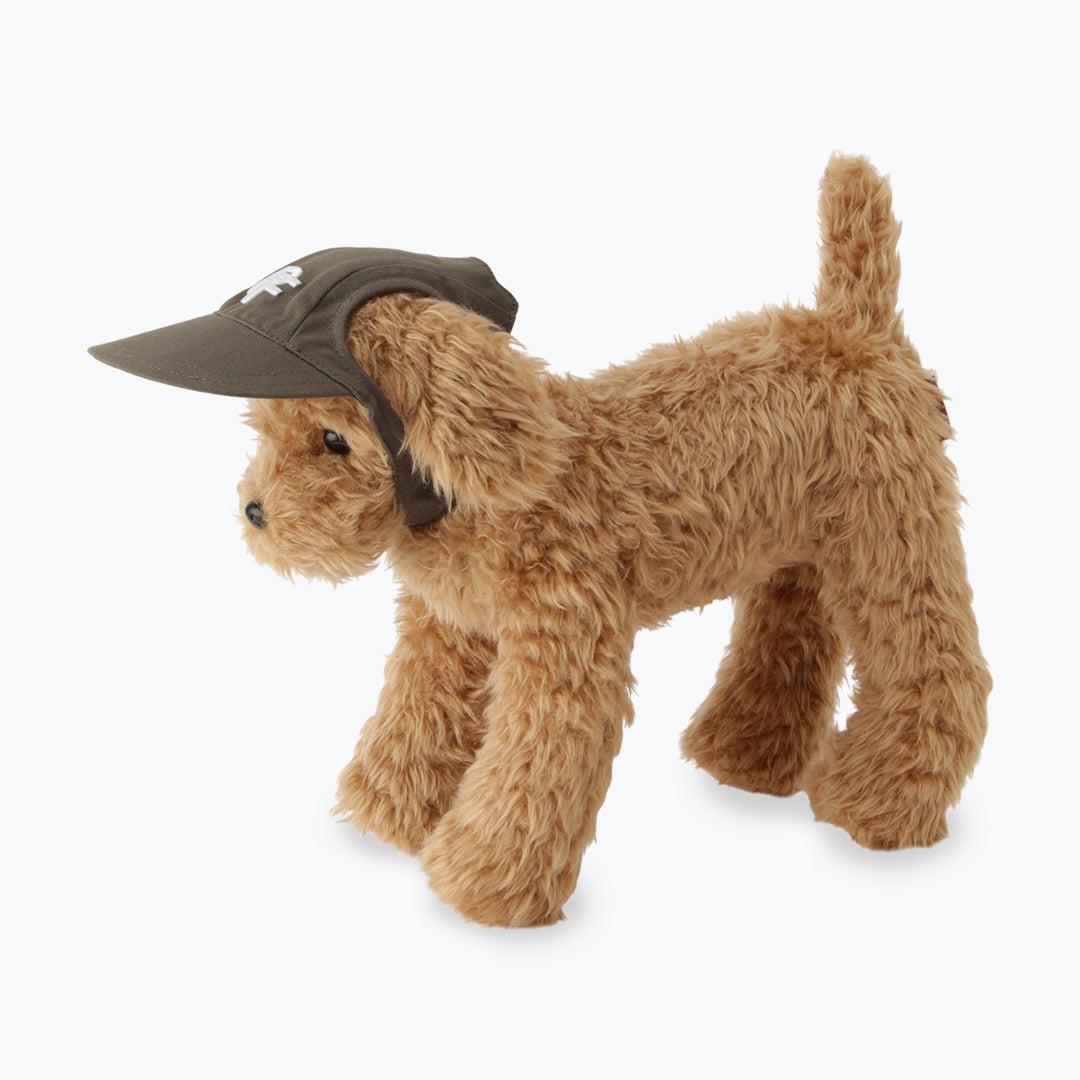 PET CAP M
