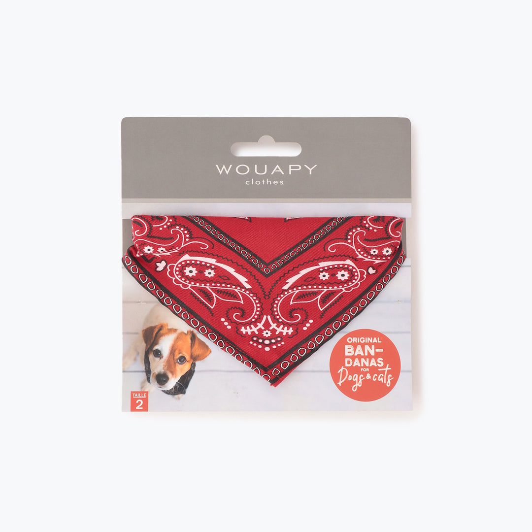 BANDANA 2