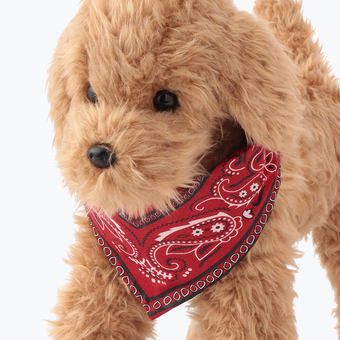 BANDANA 2