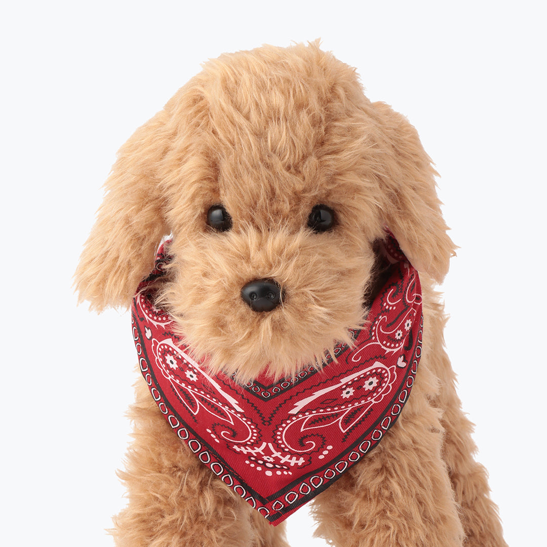 BANDANA 2