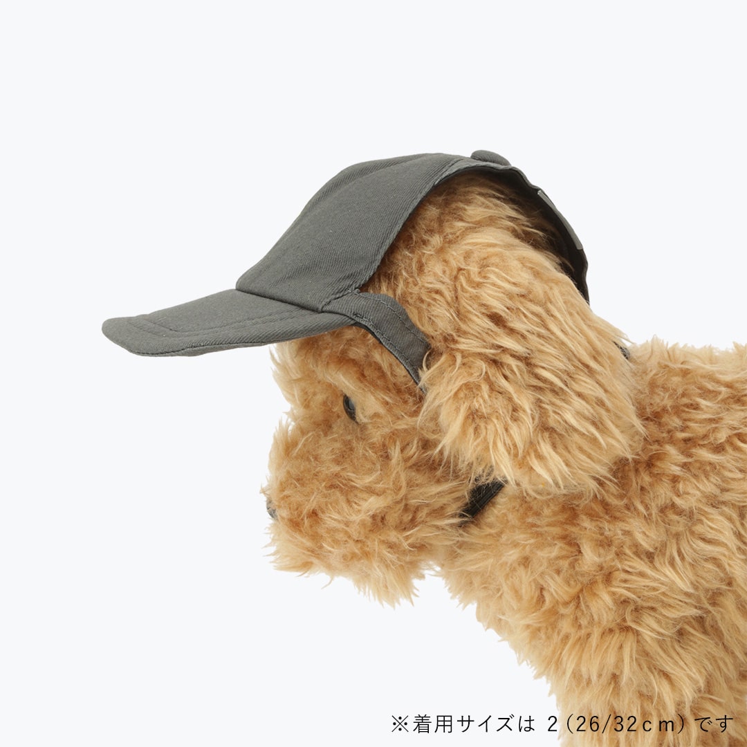 CAPS