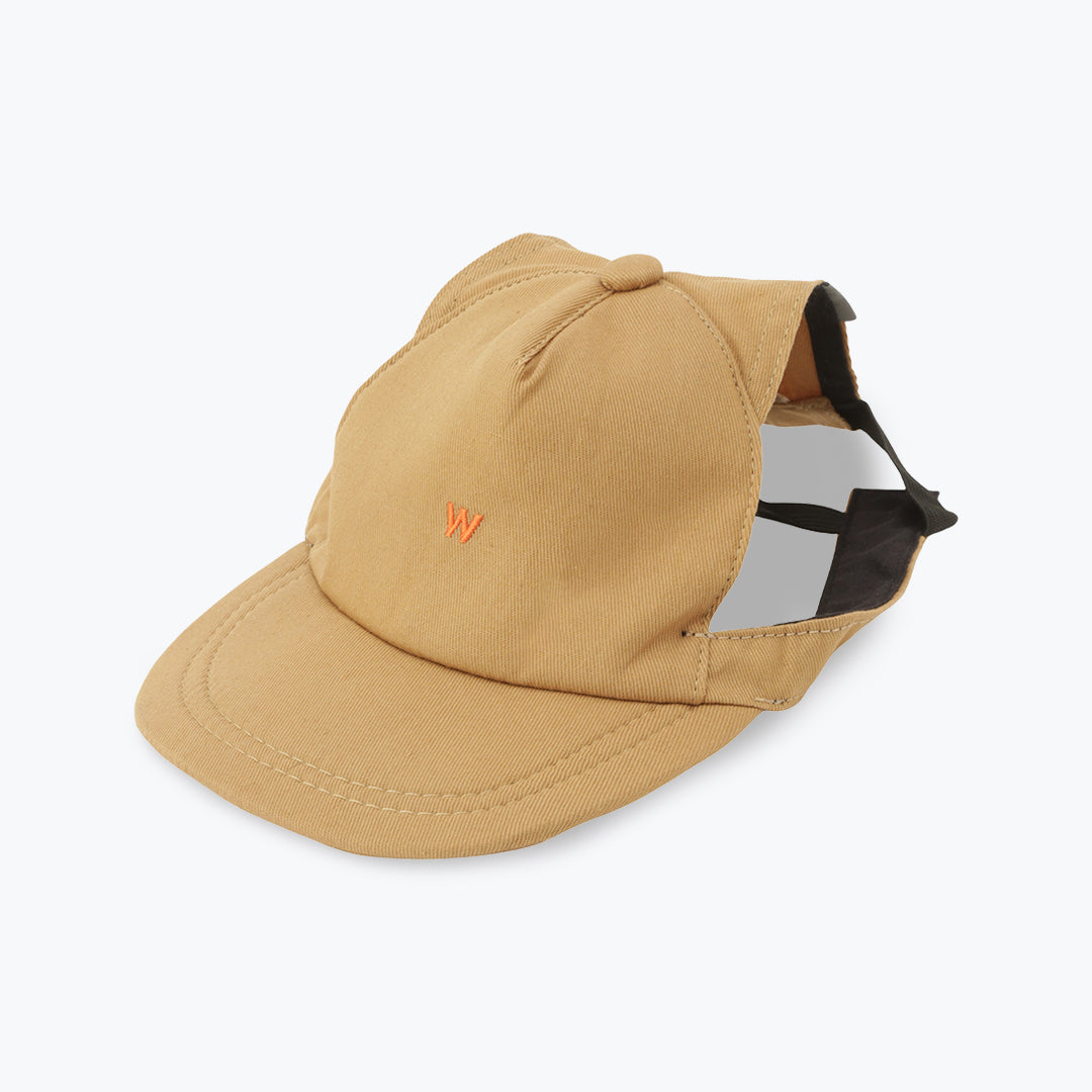 CAPS