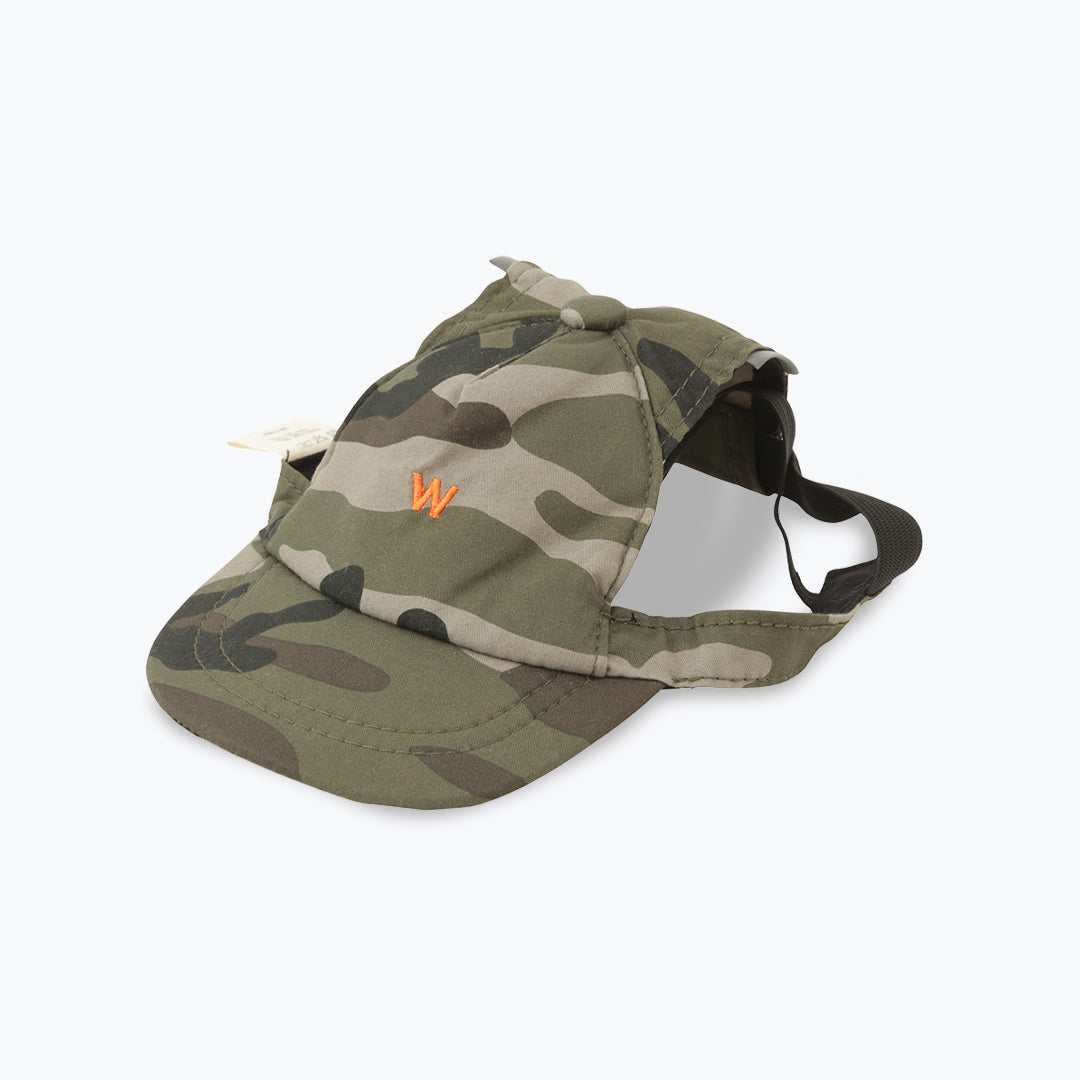 CAPS