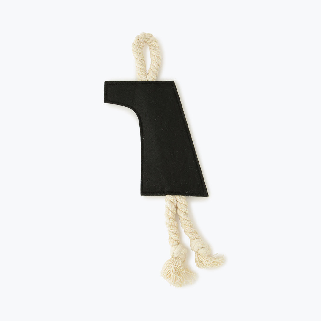 LOGO ROPE TOY