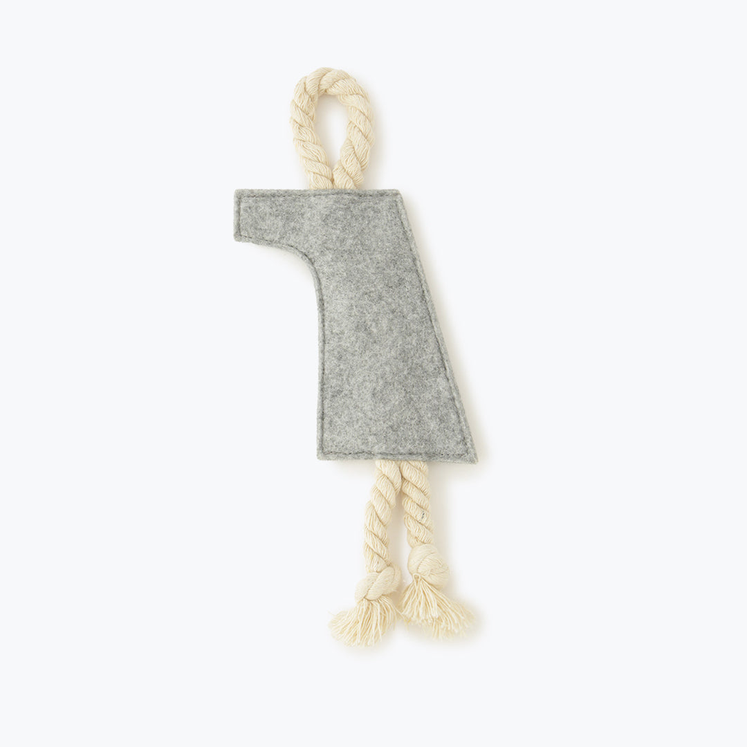 LOGO ROPE TOY