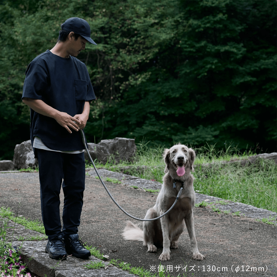 THE LEASH