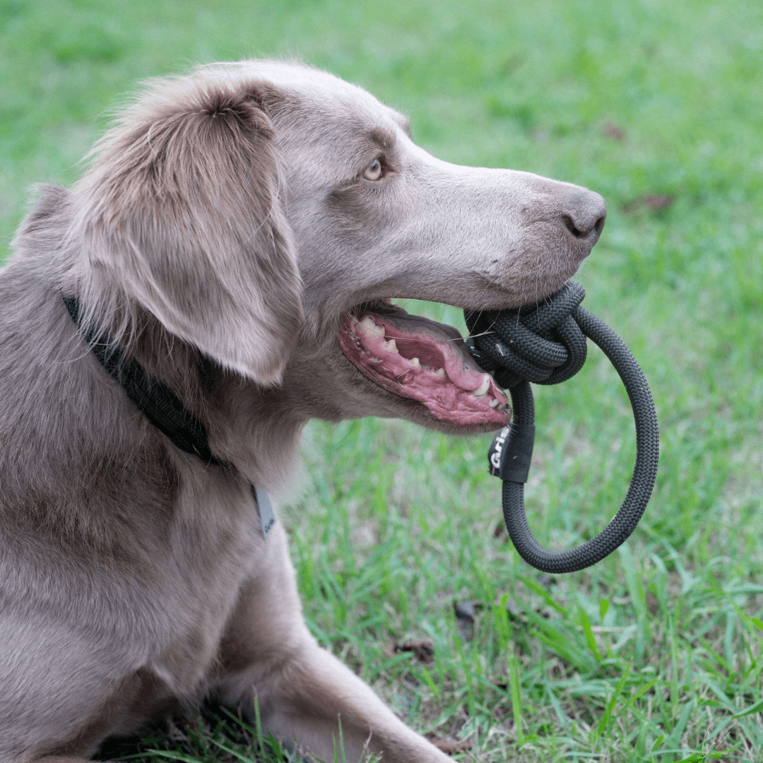 ROPE BALL TOY L