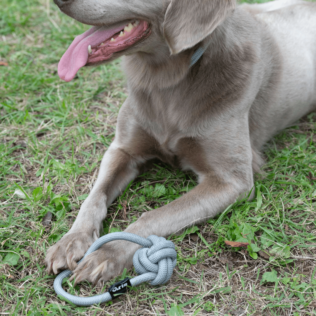 ROPE BALL TOY L