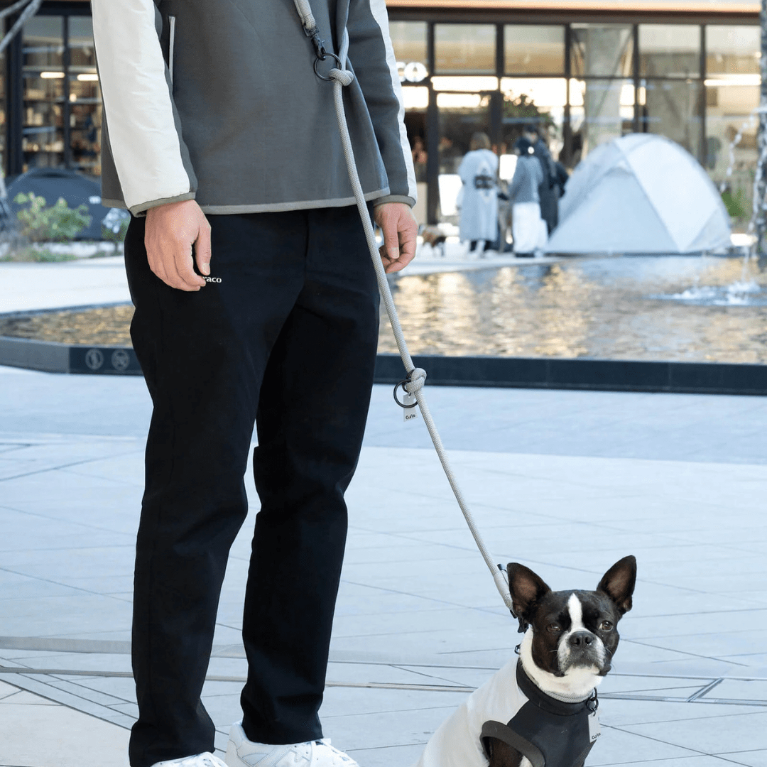 THE SHOULDER LEASH