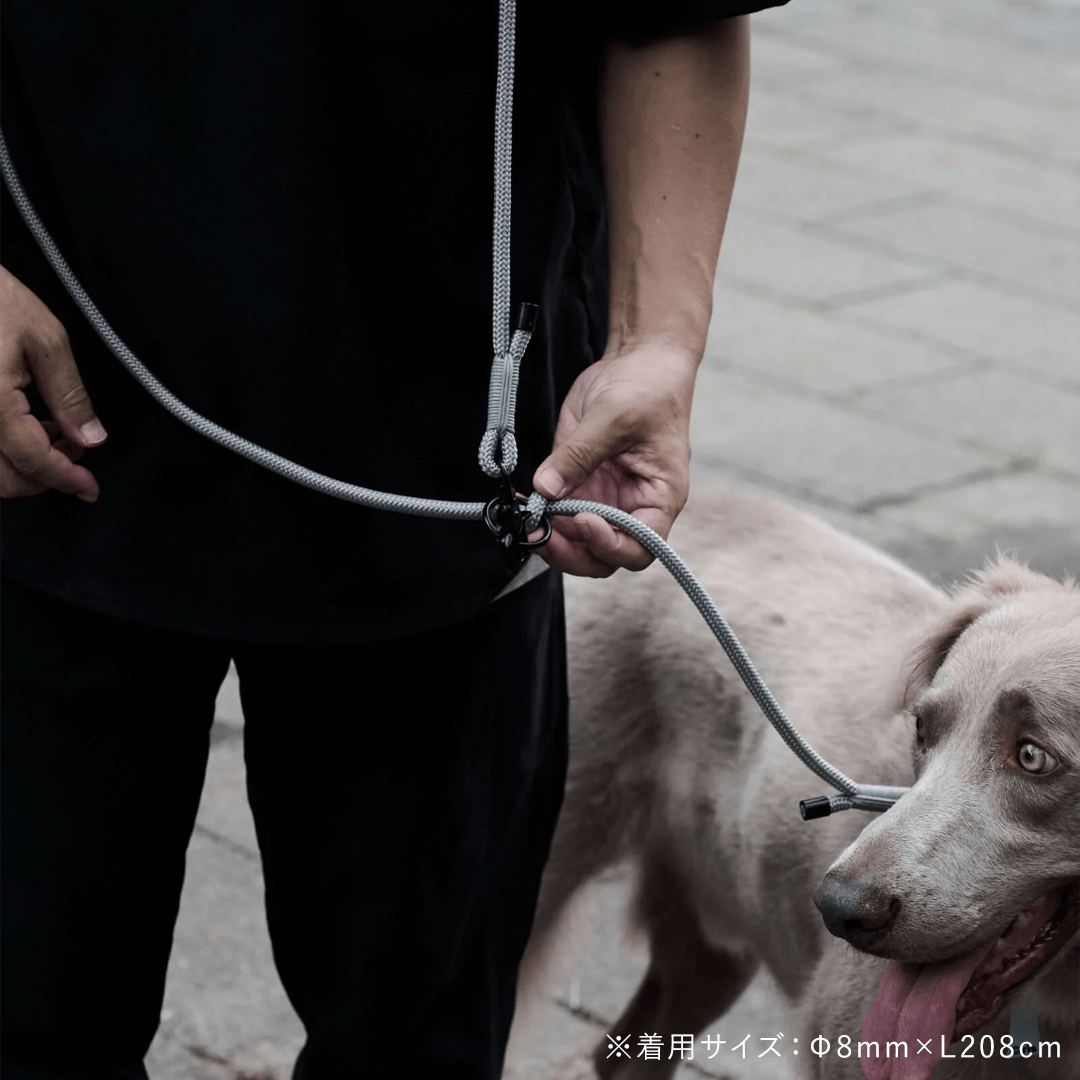 THE SHOULDER LEASH